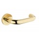 Polished Brass Door Handles 